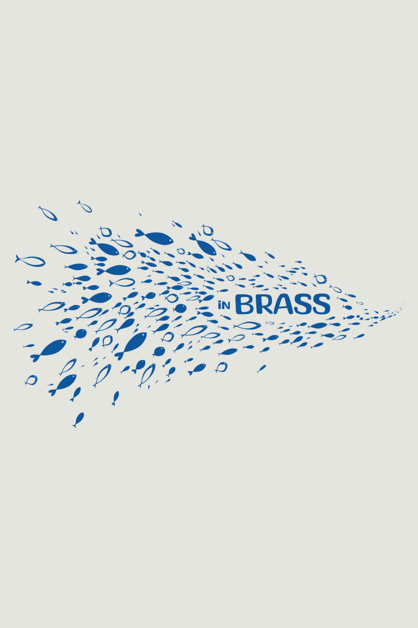 Derbe T-Shirt Inbrass Herren Weiß