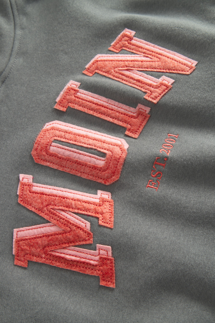 Derbe Hoodie Moinmoin Damen Grau Kapuzenpullover GOTS