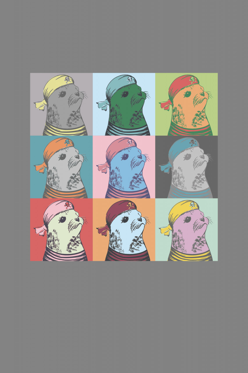 Derbe T-Shirt Robbe Collage Damen Grau