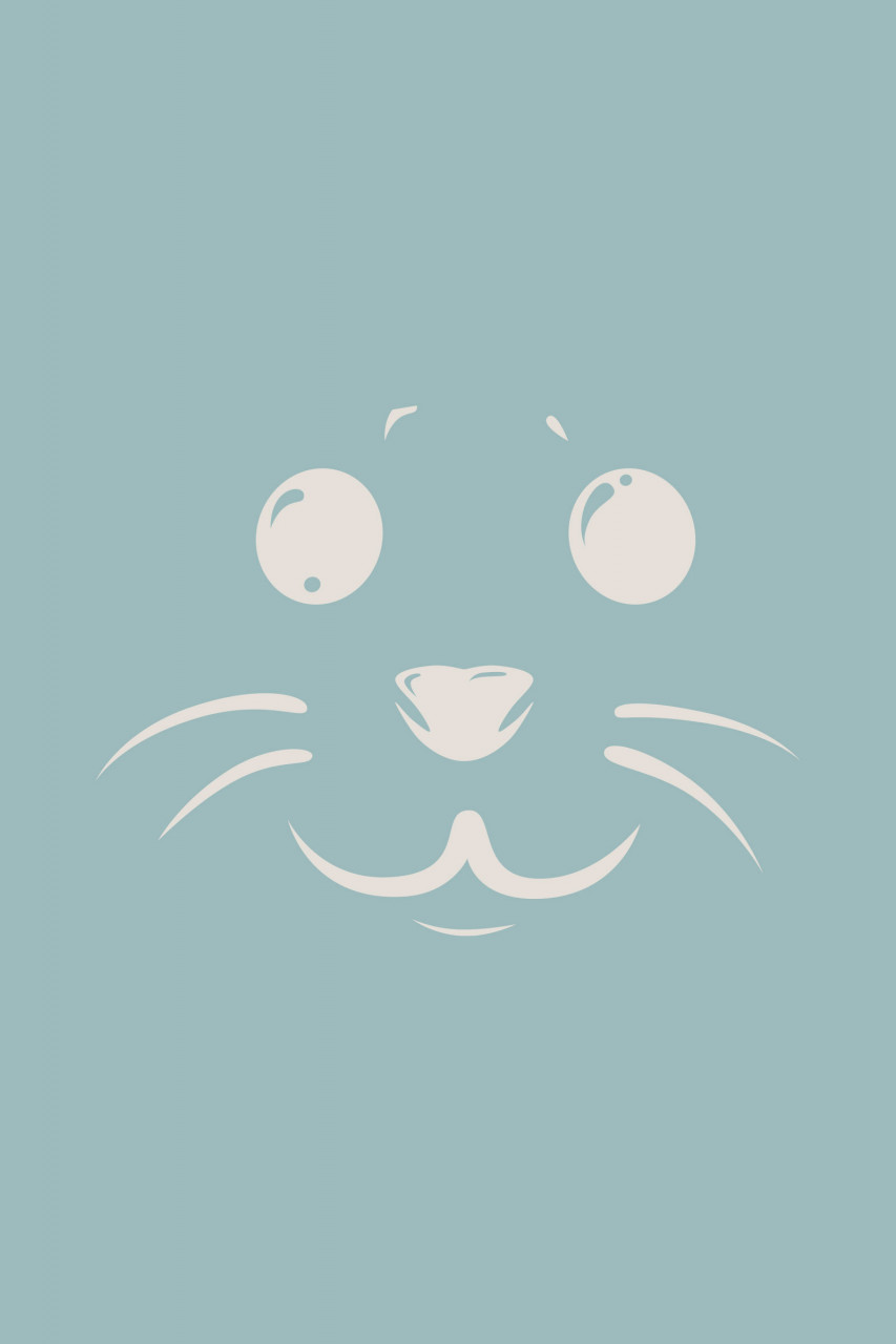 Derbe T-Shirt Robbenschnute Damen Hellblau Türkis