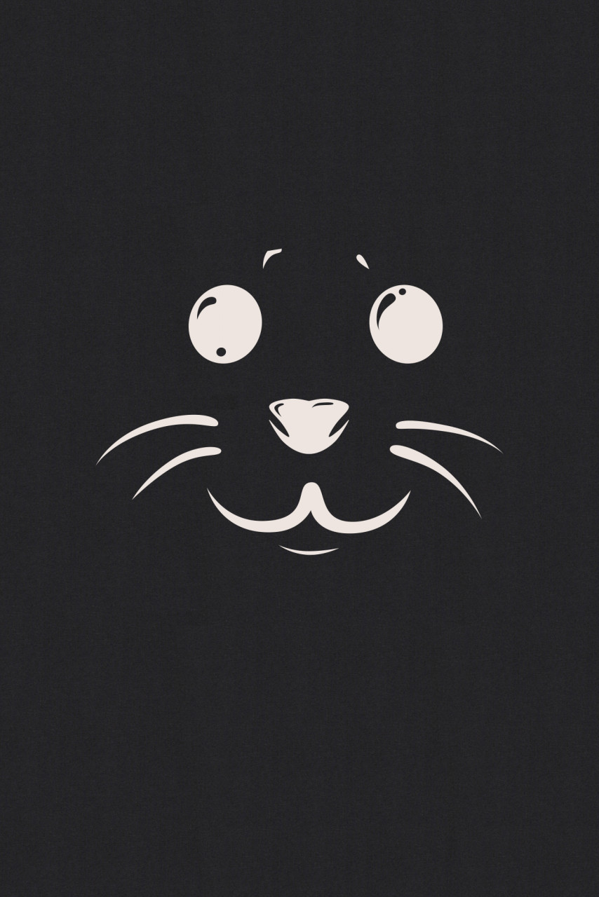 Derbe Robbenschnute Damen T-Shirt Schwarz