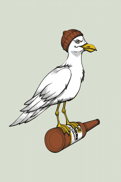Sturmmöwe