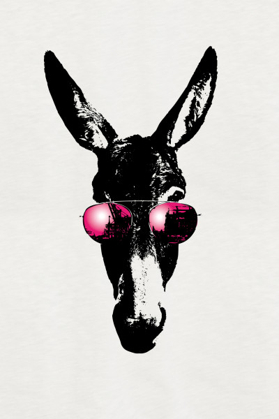 Funkydonkey
